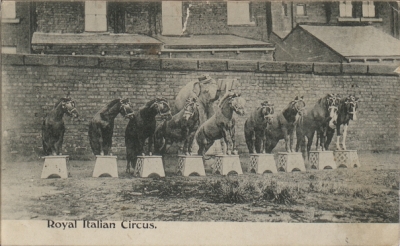 Royal Italian Circus - by kind permission of the Bristol Record Office (BRO: Vaughan Collection 43207/38/4/2/1)